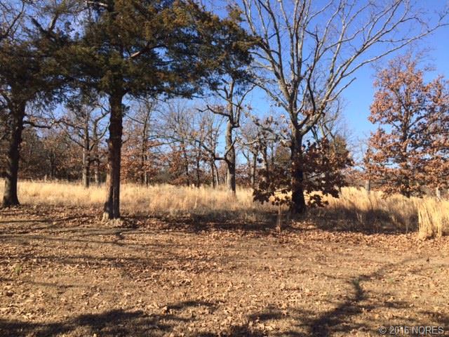 1428 S Terrace Road, Cleveland, OK 74020