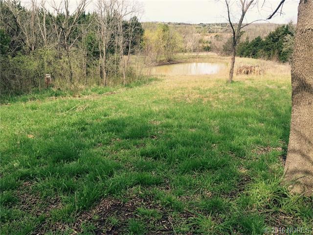 54250 S 36500 Road, Cleveland, OK 74020