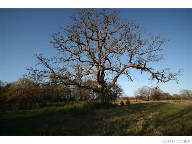 0000-W/2 S 4210 Road, Inola, OK 74036