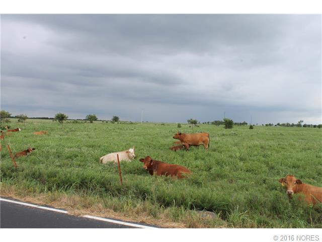 E 390 Road, Oologah, OK 74053