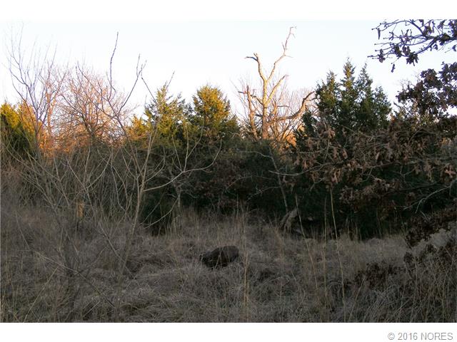 Chickasaw Road, Sand Springs, OK 74063