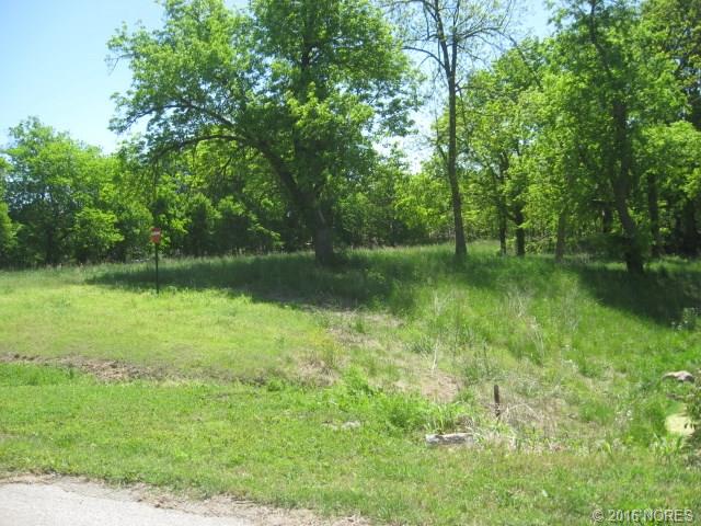 Holstein Trail, Skiatook, OK 74070
