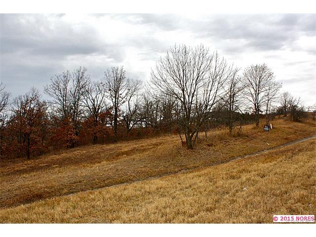 Destiny Lane, Skiatook, OK 74070