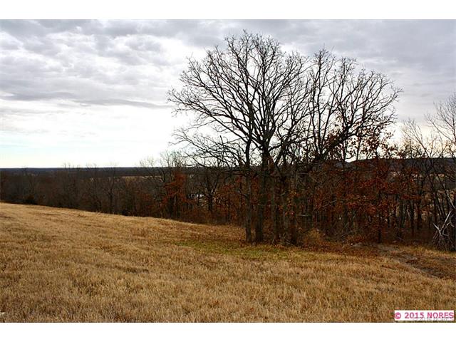 Destiny Lane, Skiatook, OK 74070