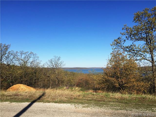 Wells Drive, Skiatook, OK 74070
