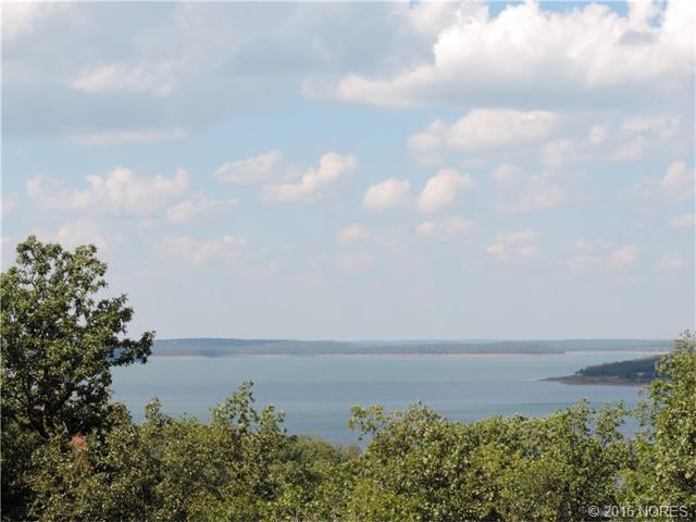 Wells Drive, Skiatook, OK 74070