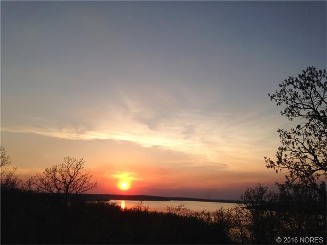 Wells Drive, Skiatook, OK 74070