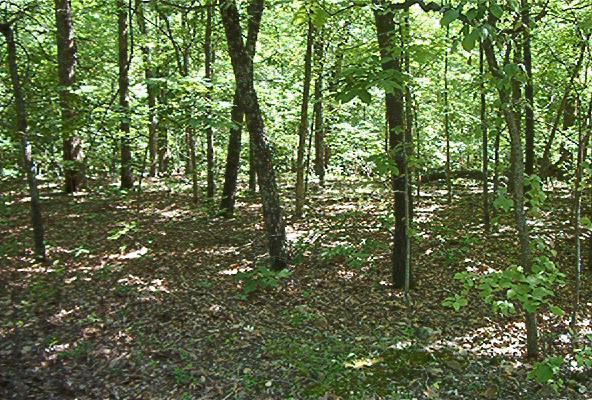 69 SAGE GROUSE CIR, Cleora, OK 74331