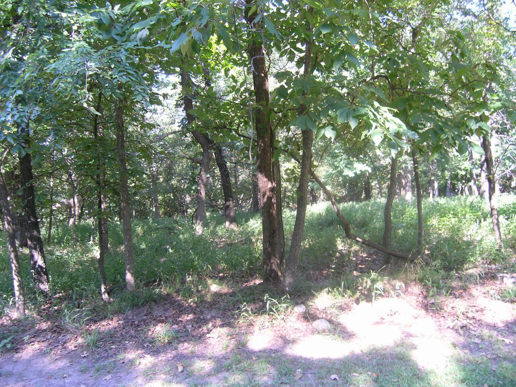 0000 COVES, Afton, OK 74331