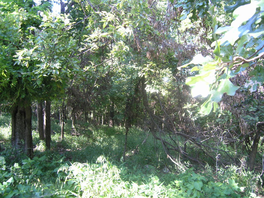0000 COVES, Afton, OK 74331