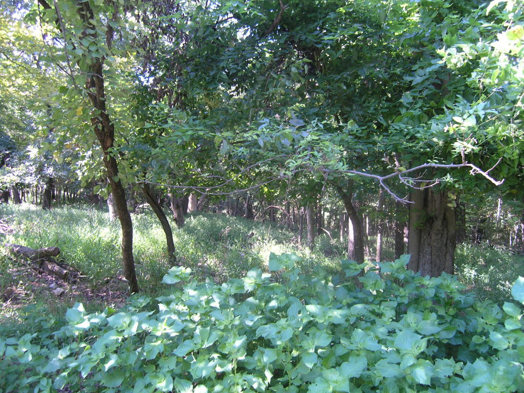 0000 COVES, Afton, OK 74331