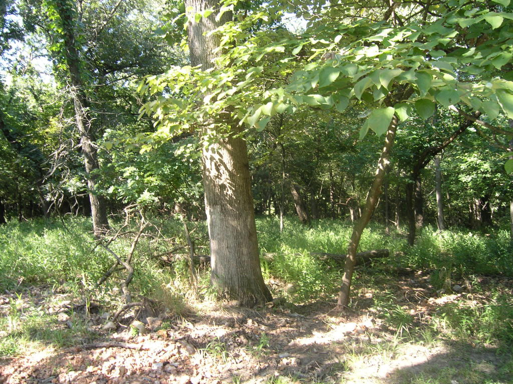 0000 COVES, Afton, OK 74331