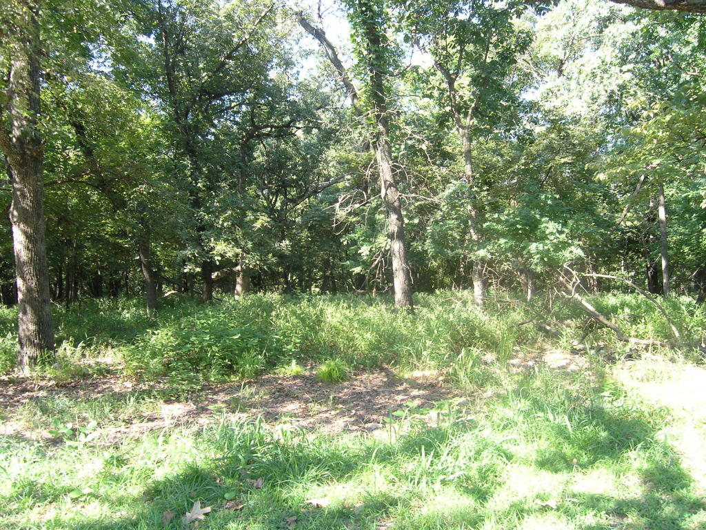 0000 COVES, Afton, OK 74331