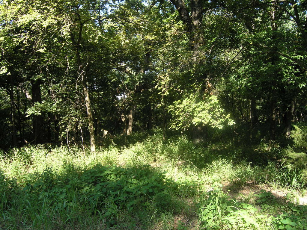 0000 COVES, Afton, OK 74331