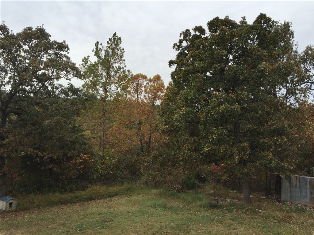 55003E LakeviewDR, Other Ok, OK 74331