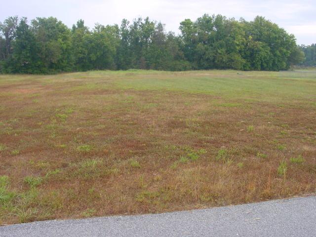 Lot 72 Poplar Ln, Grove, OK 74344