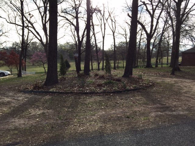 3421 Scenic Dr, Grove, OK 74344