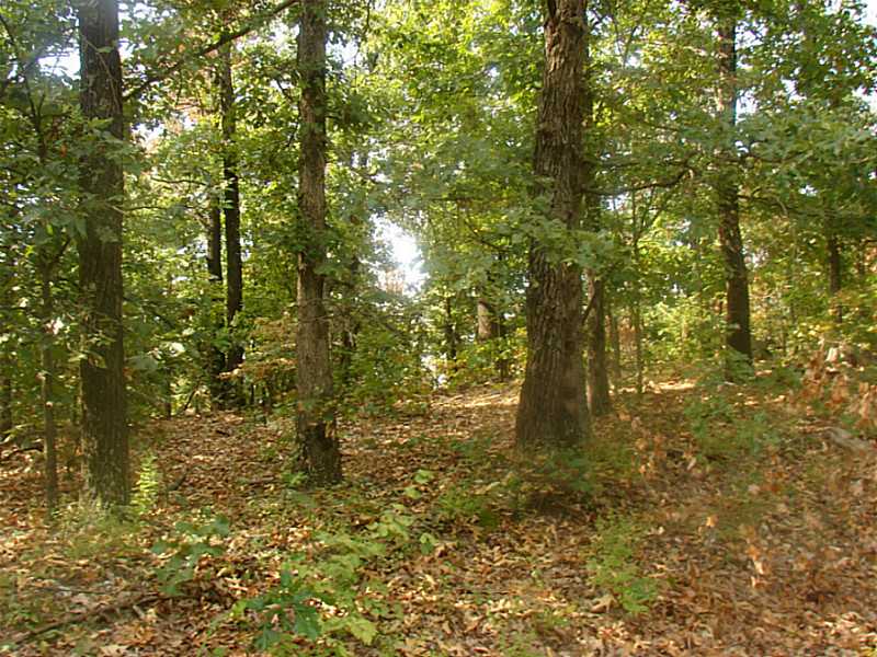 65101 225 Rd E, Grove, OK 74344