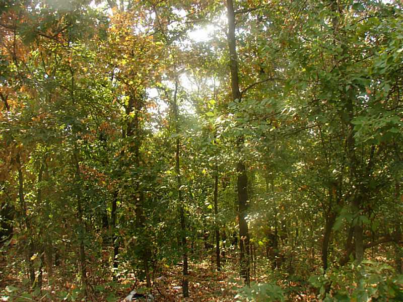 65101 225 Rd E, Grove, OK 74344