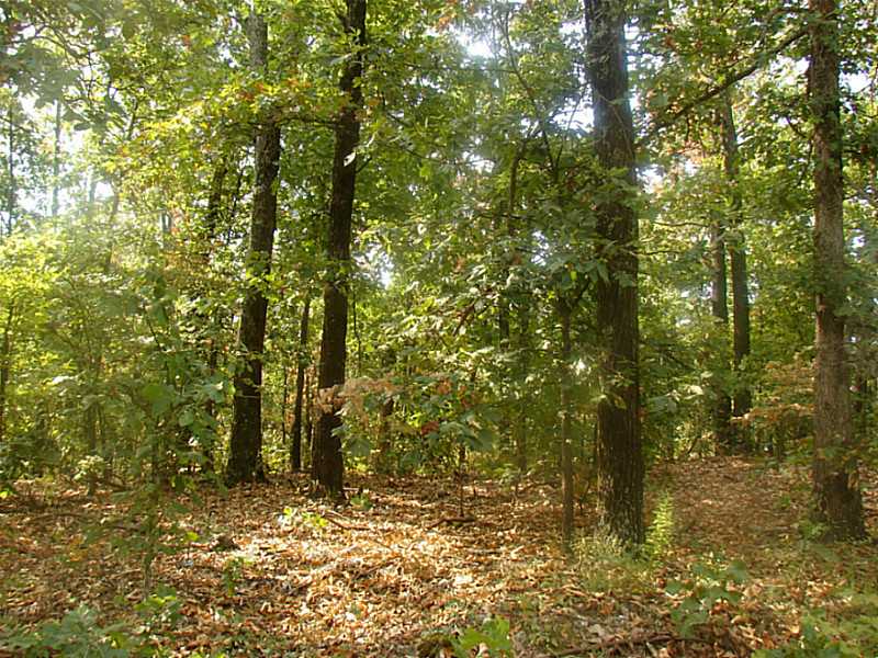 65101 225 Rd E, Grove, OK 74344