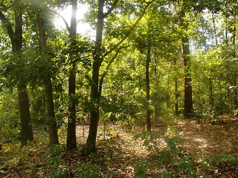 65101 225 Rd E, Grove, OK 74344