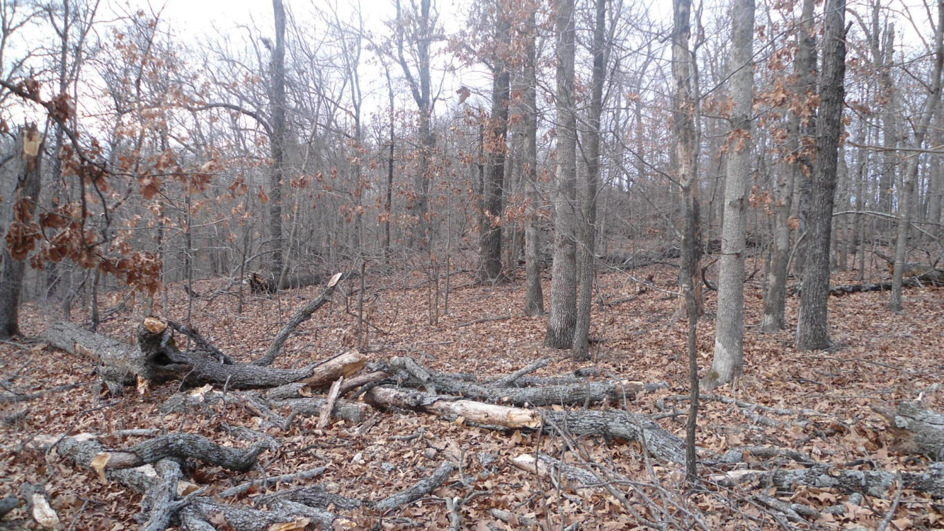 Wispering Pines Rd, Grove, OK 74344