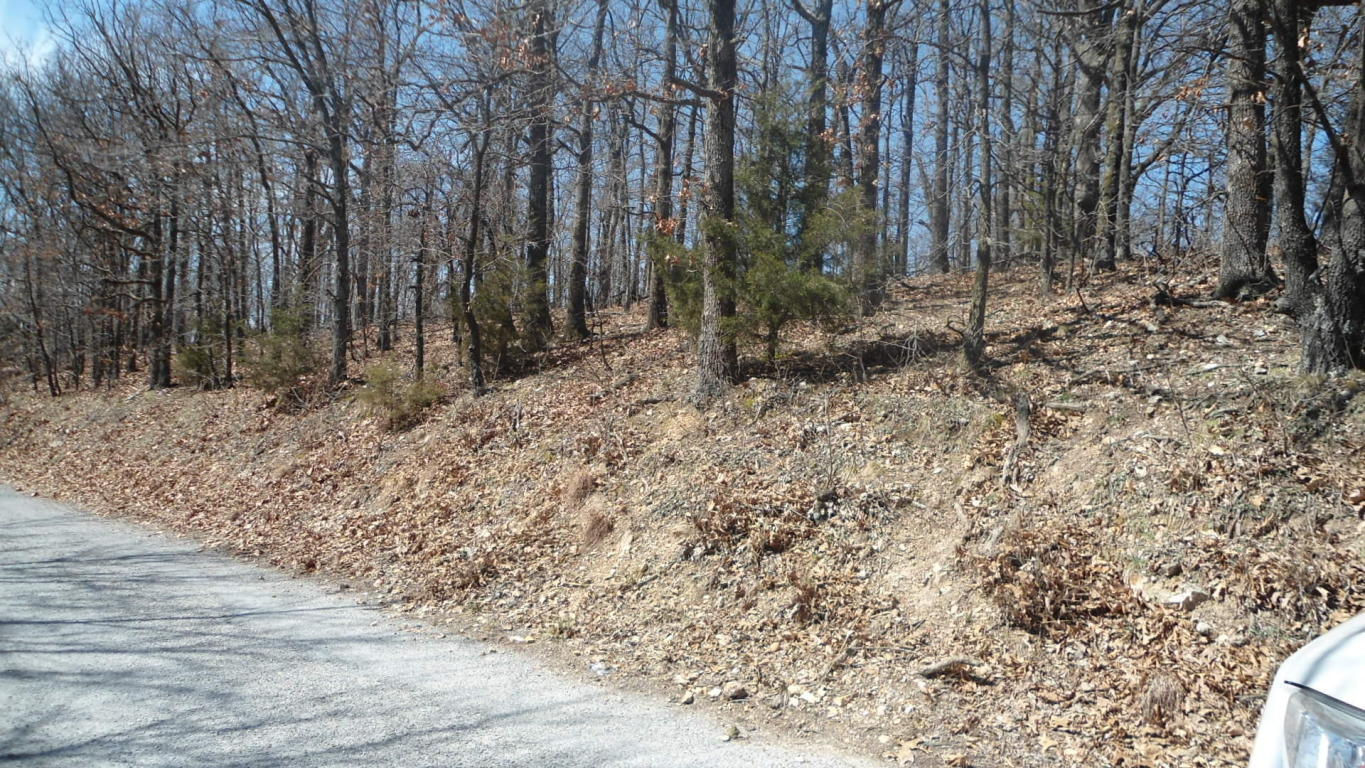 Wispering Pines Rd, Grove, OK 74344