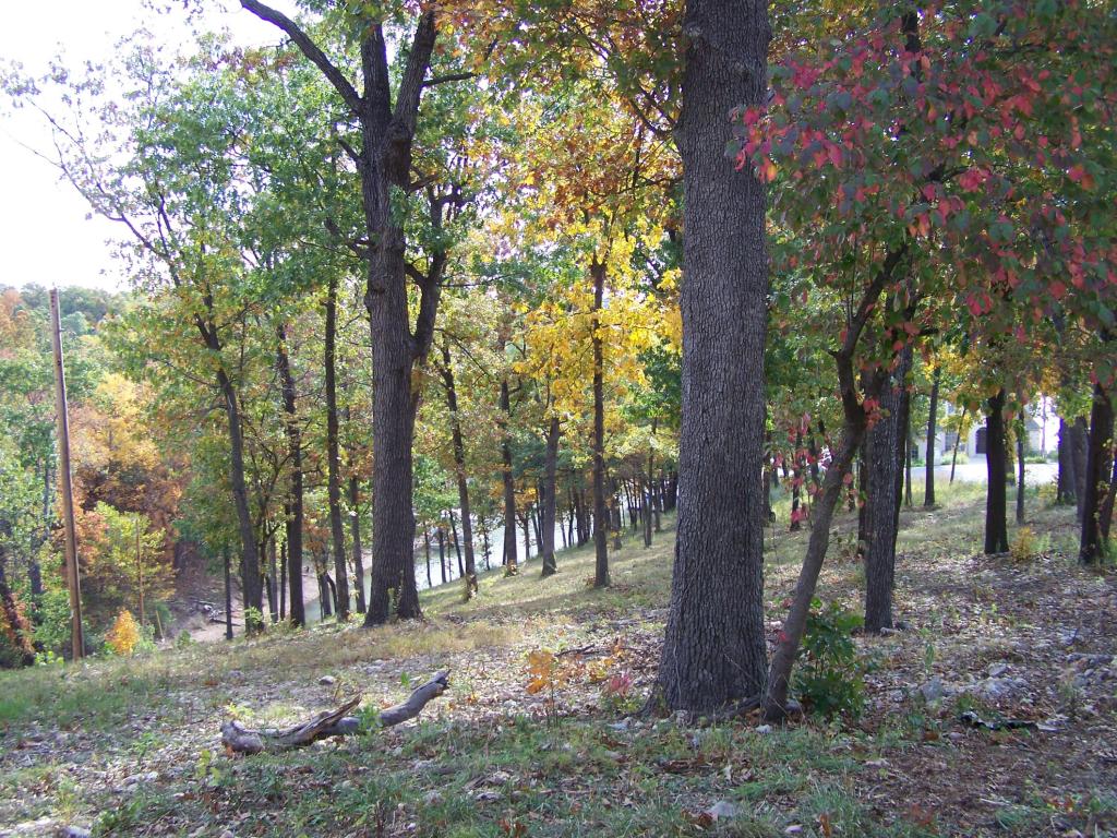 59581 E 317 Ln, Grove, OK 74344