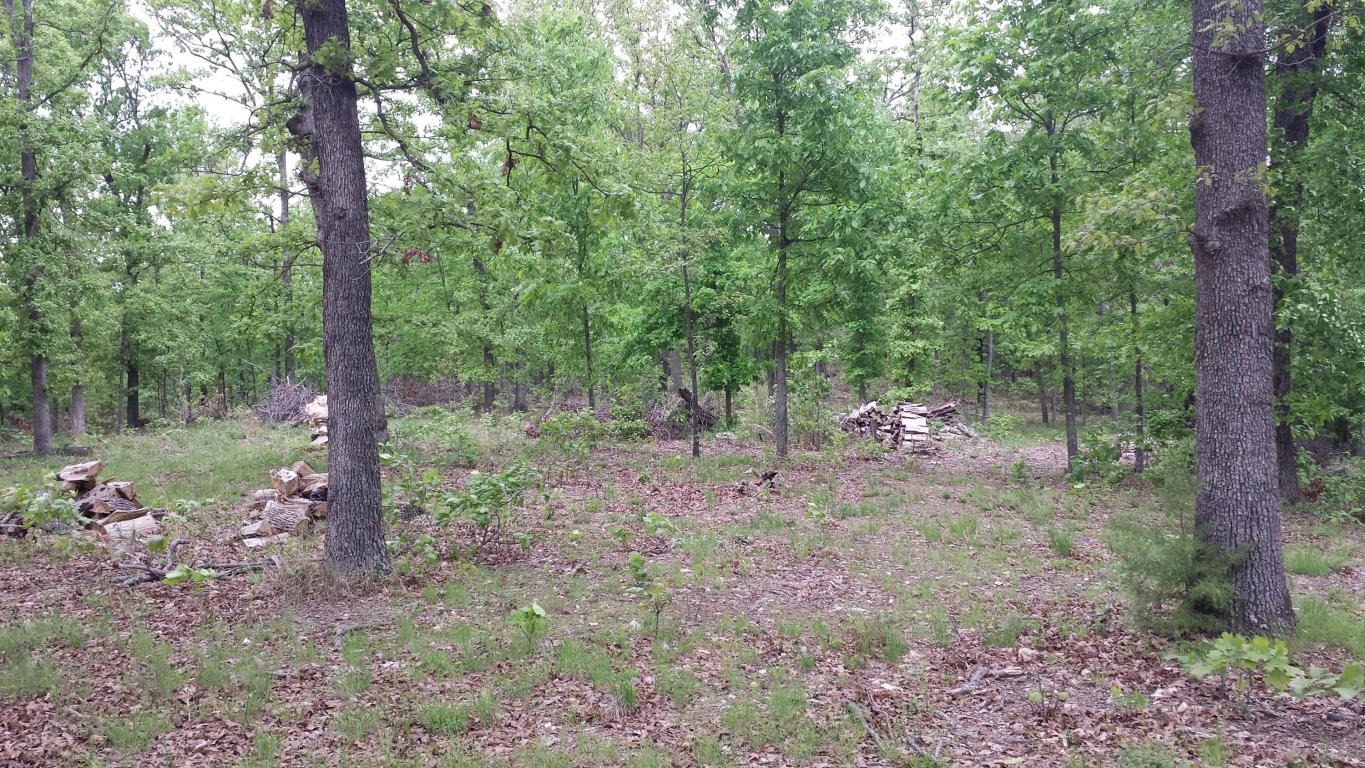 Lake Rd 8, Grove, OK 74344