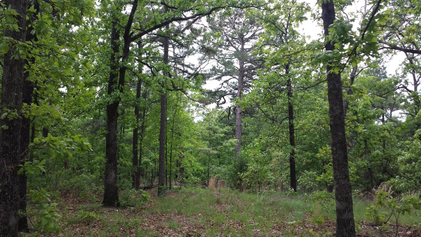 Lake Rd 8, Grove, OK 74344