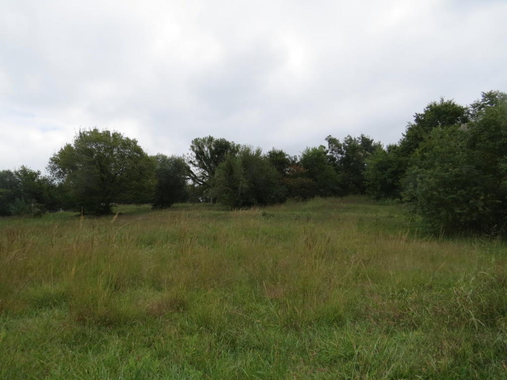 LAKEVIEW DR, Grove, OK 74344