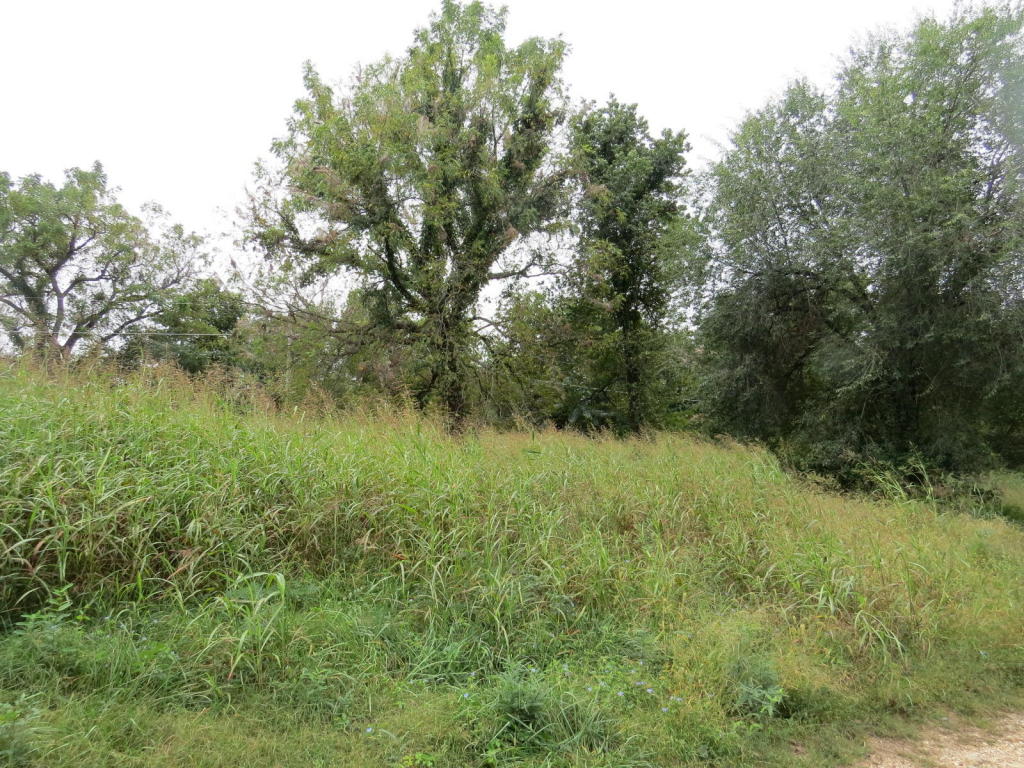 LAKEVIEW DR, Grove, OK 74344