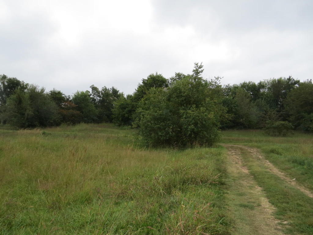 LAKEVIEW DR, Grove, OK 74344