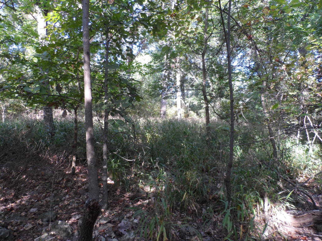 Trct 38,39 341 Loop, Jay, OK 74346