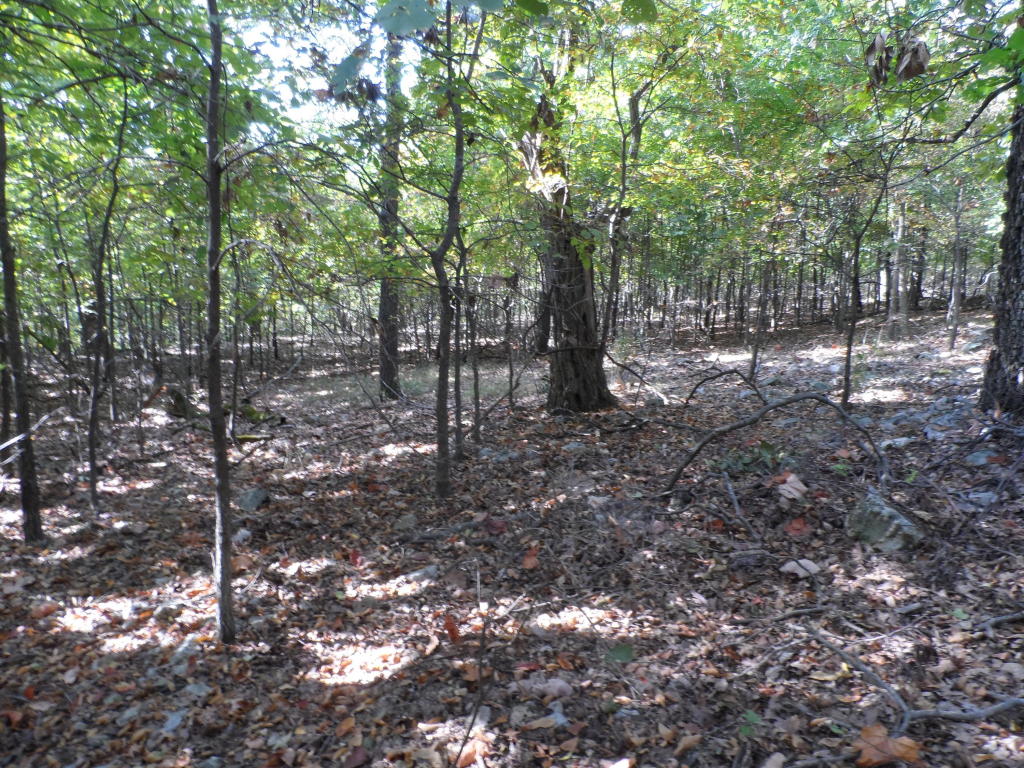 Trct 38,39 341 Loop, Jay, OK 74346