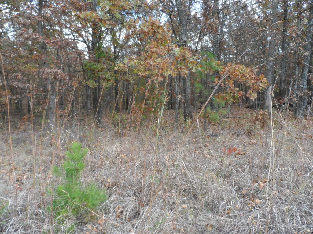 0 US Hwy. 59, Jay, OK 74346