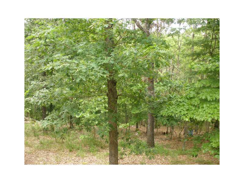 1809 Bucksaw, Kansas, OK 74347
