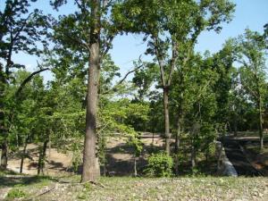 3 Rosebud/Primrose Lane, Ketchum, OK 74349
