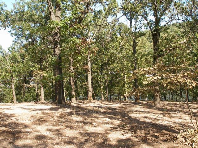 3 Rosebud/Primrose Lane, Ketchum, OK 74349