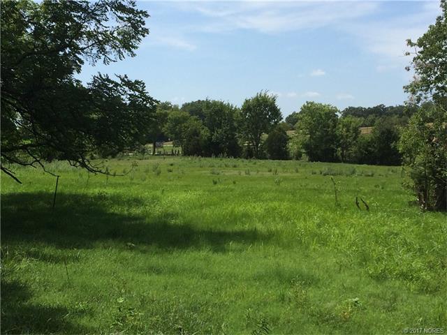 13400 S Cayuga Road, Wyandotte, OK 74370