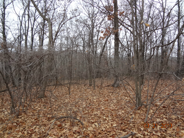 157 rd, Wyandotte, OK 74370