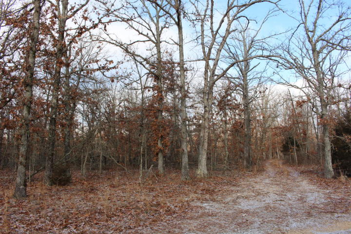 690 rd, Wyandotte, OK 74370