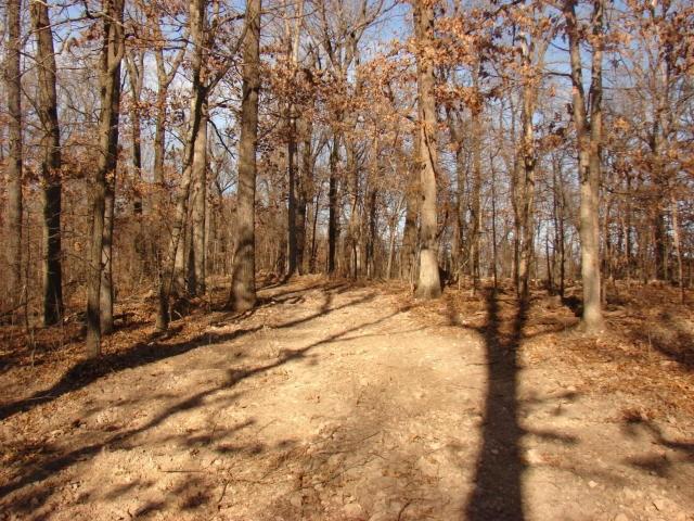 225RD, Other Ok, OK 74370