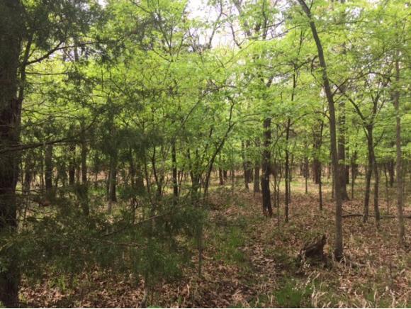 N/ACountry Club Dr Arrowhead, Canadian, OK 74425