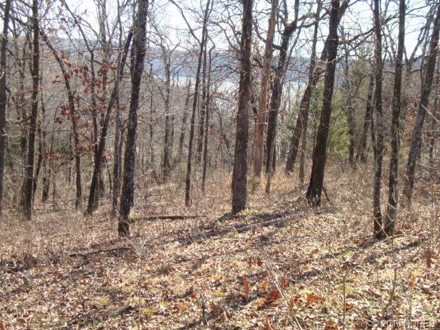 W Carlile Circle, Park Hill, OK 74427