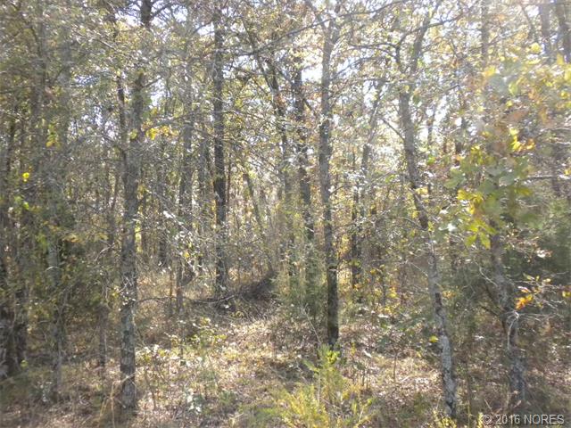 S 566 Road, Cookson, OK 74427