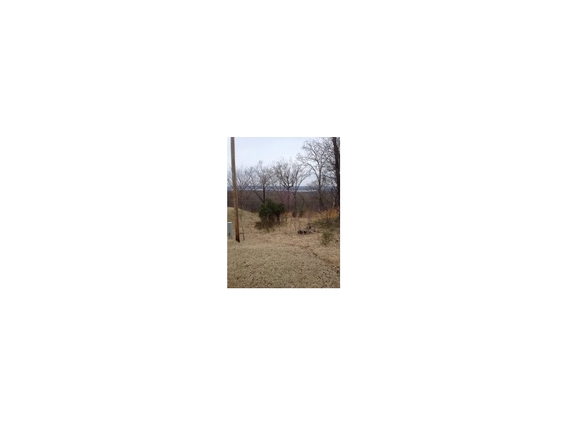 11 Talon Dr, Vian, OK 74427