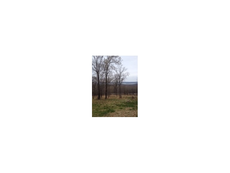 10 Talon Dr, Vian, OK 74427