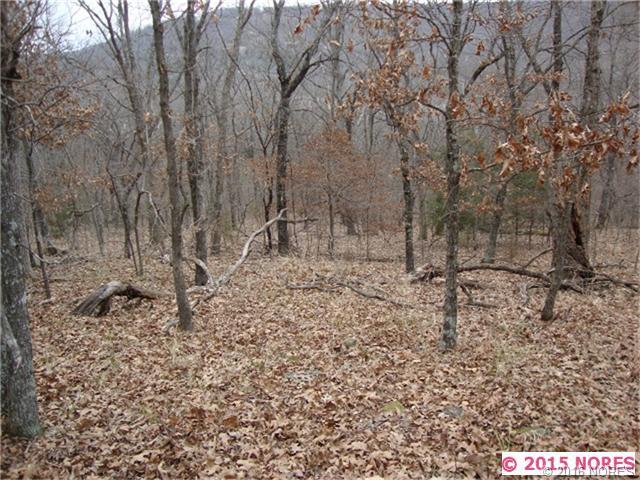 Tbd Sugar Mountain Circle, Park Hill, OK 74427