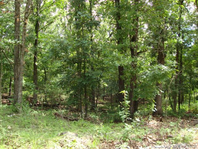 Tbd W 863 Road, Cookson, OK 74427